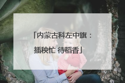 内蒙古科左中旗：插秧忙 待稻香